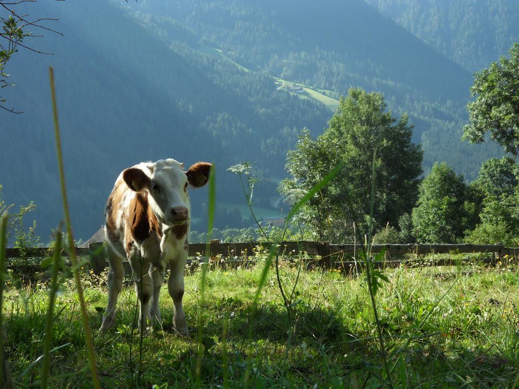 Wiesemann Biohof Anterselva di Mezzo Zewnętrze zdjęcie